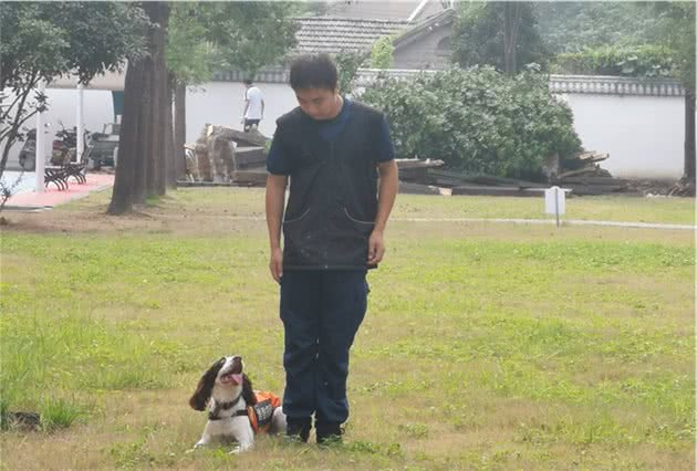 芜湖有自己的消防搜救犬了