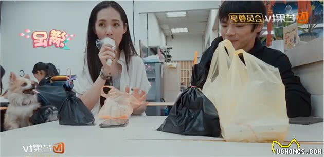 如何带狗进餐厅吃饭？带狗进餐厅吃饭需要注意什么？