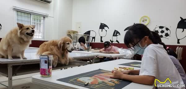 狗不能进店！主人转头看到狗子叼着玩具十分可怜，立刻出去陪它