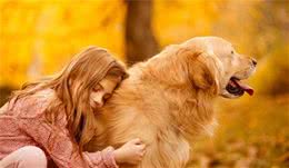 狗狗这些行为，是在“保护你”，别再误会它了