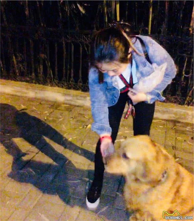 遛狗可不是随便带着狗狗走走那么简单的，这些遛狗错误你犯过吗？