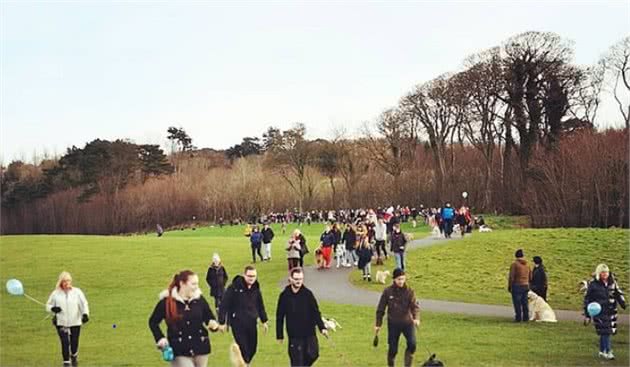 英国女子为宠物狗举办临终派对，超400只狗狗前来参加
