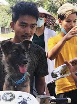 狗狗坐在寻狗启事旁，默默地等待路人发现，看了忍不住让人点赞