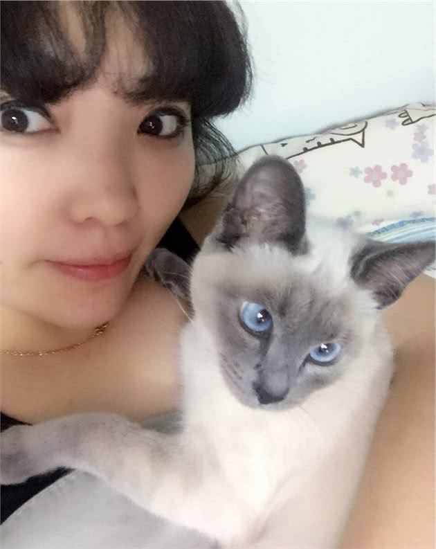 养暹罗猫，有什么事情需要特别注意吗？