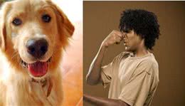 养狗的留意了，记住这几点，有效减少狗狗“尿骚味”