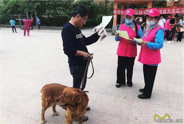 狗出门是否要戴嘴套？听他们都咋说
