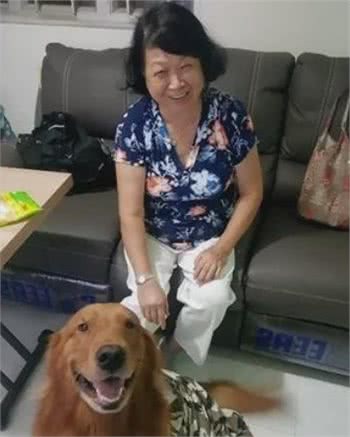 洗澡不让金毛进厕所，狗子的表情…太有戏了噗哈哈哈