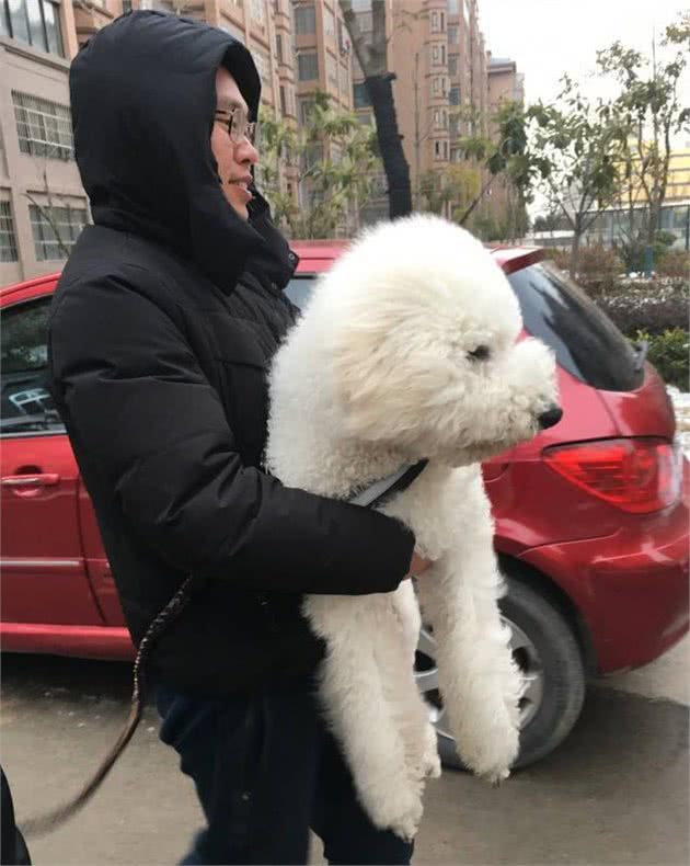 情侣拍婚纱照表情僵硬被嫌弃，抱出爱犬后立马逆袭