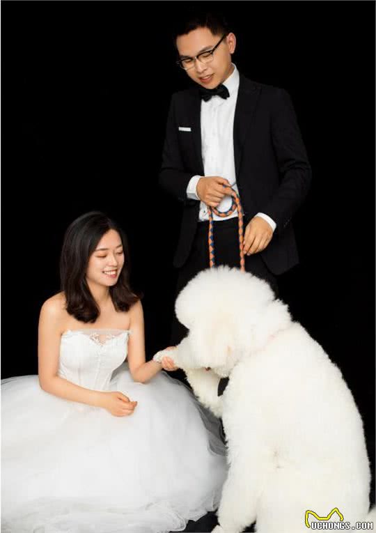 情侣拍婚纱照表情僵硬被嫌弃，抱出爱犬后立马逆袭