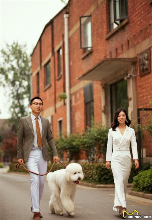 情侣拍婚纱照表情僵硬被嫌弃，抱出爱犬后立马逆袭