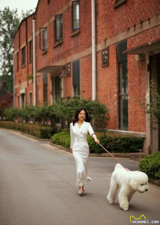 情侣拍婚纱照表情僵硬被嫌弃，抱出爱犬后立马逆袭