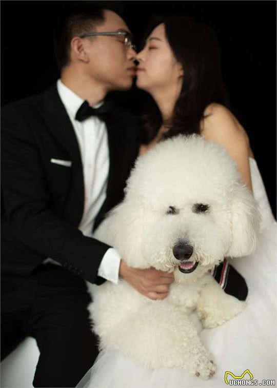 情侣拍婚纱照表情僵硬被嫌弃，抱出爱犬后立马逆袭