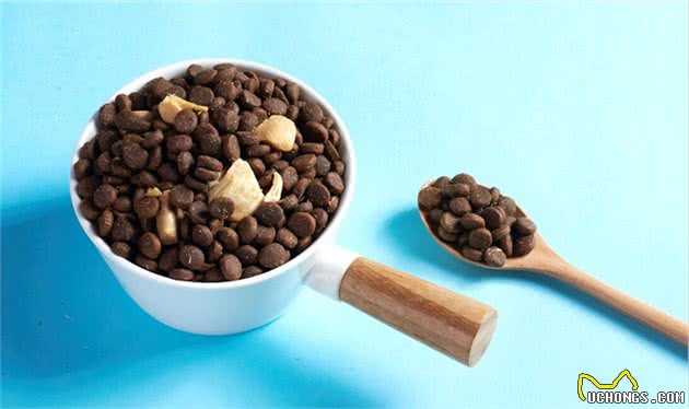 “不爱你”的狗狗，具有以下特点！铲屎官：养了很后悔