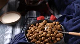 珍爱狗狗健康，远离垃圾狗粮！给狗狗最细心的呵护！