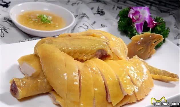 狗子绝对不能吃的食物有哪些？