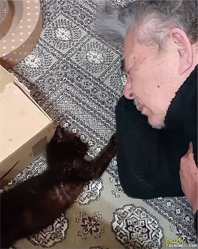 说好不再养猫！大叔见流浪小猫被乌鸦攻击，还是把猫咪带回家
