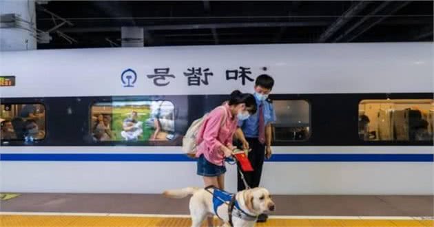 20岁女孩带着狗乘坐高铁，工作人员没有拒绝，还帮忙照顾