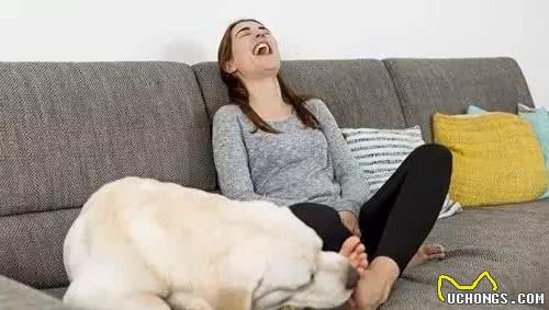 狗狗为啥总是钟情于主人的拖鞋