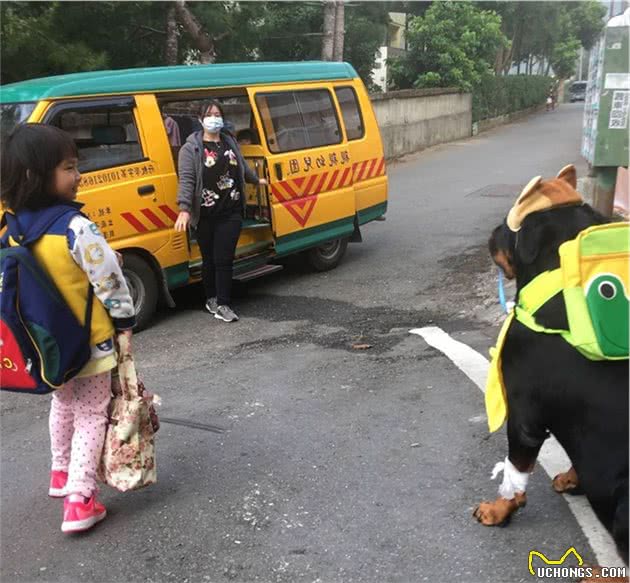120斤罗威纳犬，乖乖充当阿婆的暖手拐杖！连和尚都忍不住了