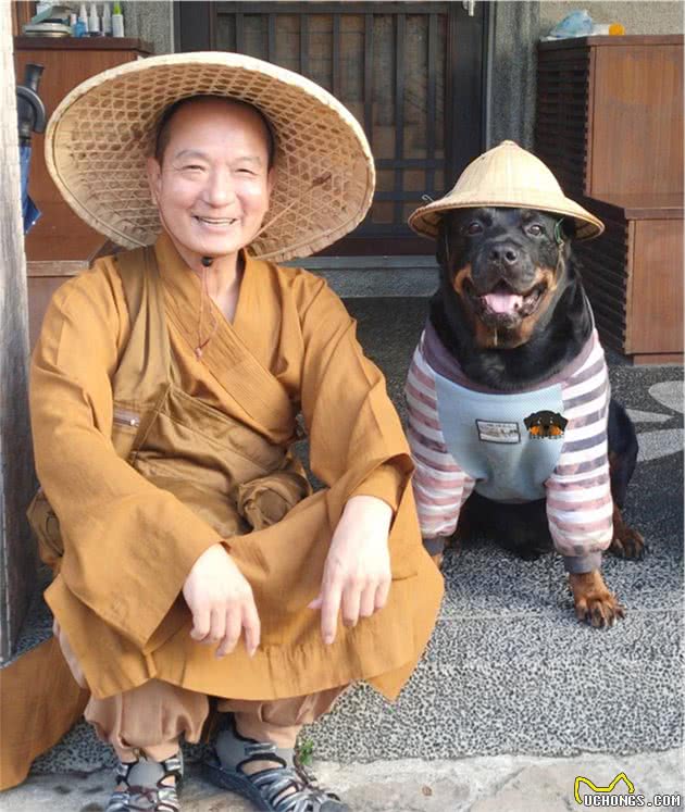 120斤罗威纳犬，乖乖充当阿婆的暖手拐杖！连和尚都忍不住了