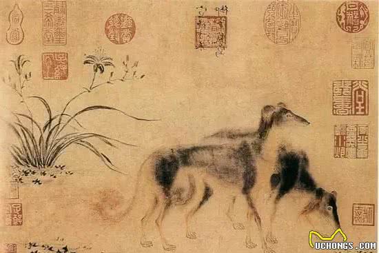 趣说撸狗：古人也爱养宠物，“铲屎官”真的是一种官？