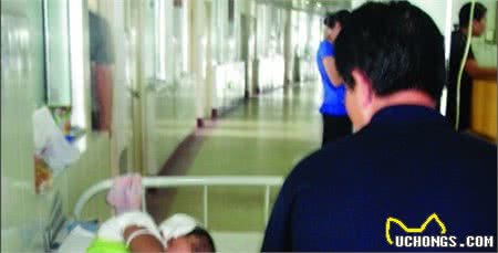 安徽百斤藏獒发狂，闯入村民家中被击毙，为什么总有人喜欢养烈犬