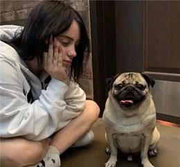 养巴哥犬最“忌讳”的几件事，你做过吗？