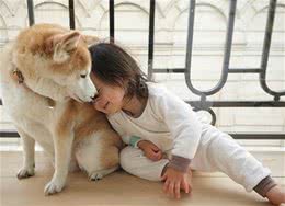 如果你喜欢狗，那不妨养这几种“中小型犬”，好养不咬人