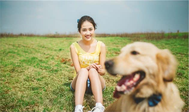 狗狗端午陪伴主人出行郊游，四点注意事项若忽视，爱犬将因此受伤
