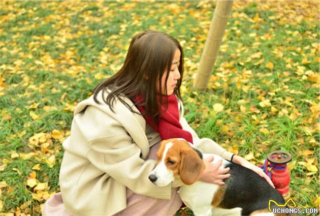 狗狗端午陪伴主人出行郊游，四点注意事项若忽视，爱犬将因此受伤