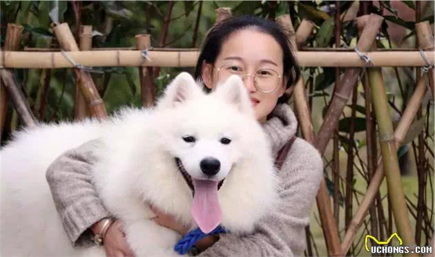 狗狗端午陪伴主人出行郊游，四点注意事项若忽视，爱犬将因此受伤