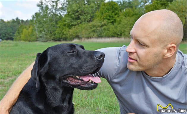 养了这种犬，说明你很有眼光