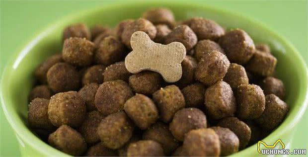狗狗的牙齿清洁很重要，因为牙垢危害可不小