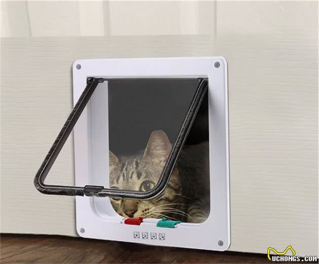 狸花猫背着门走？竟是因为太胖导致卡门，无奈将门带回家
