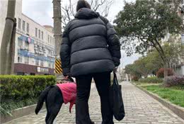 导盲犬不能在小区排尿？视障阿姨哭诉，邻居烦恼！总算有办法了