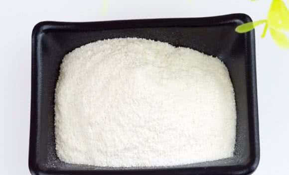 戈赞：狗狗总是食欲不振找对原因才能对症下药