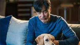 关于导盲犬，我们必须知道的几件事
