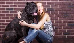 为什么狗狗更喜欢女生？看完下文你就懂