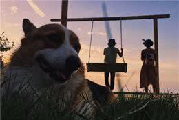 带狗狗出门旅行，要提前准备好这5点，别弄得狗狗主人都不安心