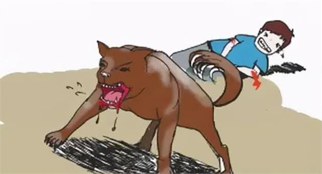 恶犬扑来！如何应对，和大家分享几点