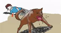 恶犬扑来！如何应对，和大家分享几点