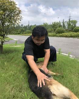 田千鹤：一名出色的追踪犬训导员