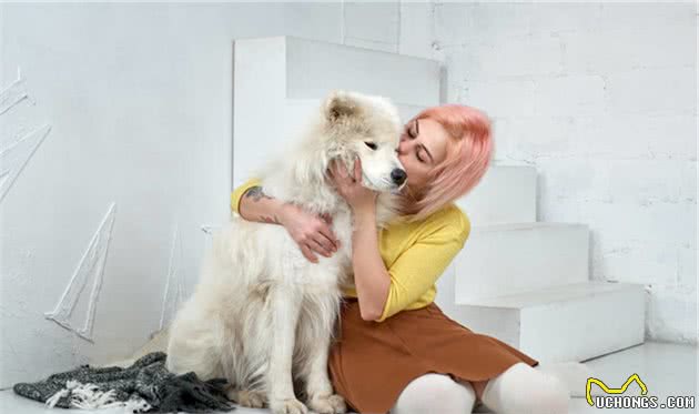 当时养狗，要是有人告诉我这些就好了，训犬师的7个小建议