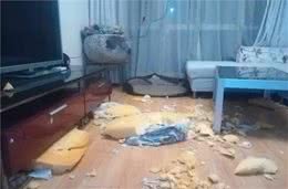教你5招，轻松纠正小奶狗爱啃咬的坏习惯