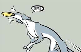 犬和狗有何区别？走狗曾是“体面人”的代名词？说说狗的冷知识