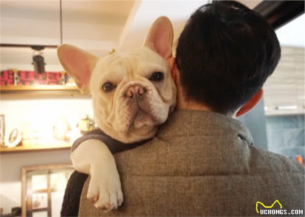 狗狗为什么要抬腿尿，这一点公狗与母狗有什么不同