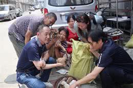 新闻追踪丨真幸运！雨夜落仔的一窝狗狗有了新主人