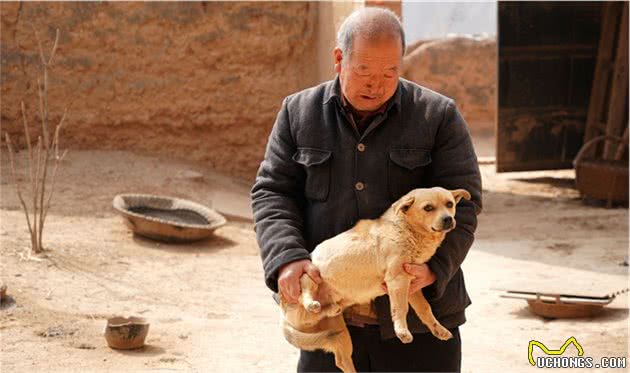 山西7旬农民大爷，家养1只“小神犬”有件事立了大功，啥情况