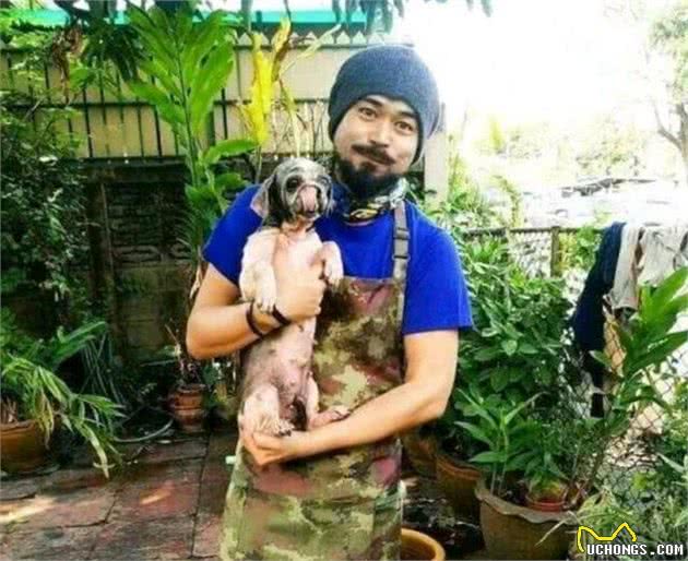 狗狗生活凄凉，大家同情它却不敢接近，兽医于心不忍：跟我走