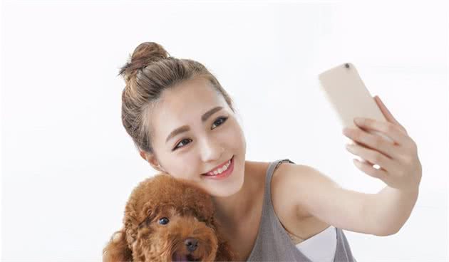 贵宾犬舔人身上不同的位置，其实它是在表达这几个意思